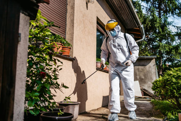 Best Rat Extermination Near Me  in Aberdeen, ID