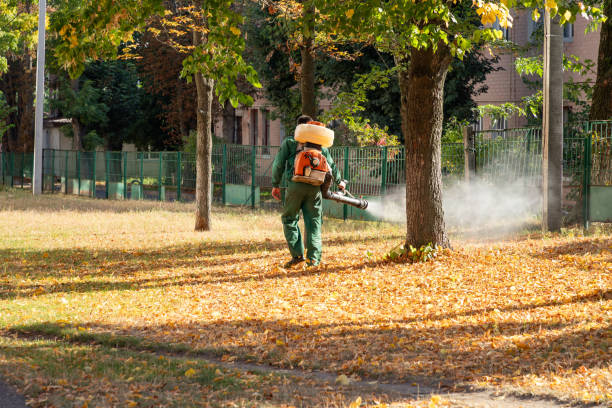 Best Wildlife Control Services  in Aberdeen, ID