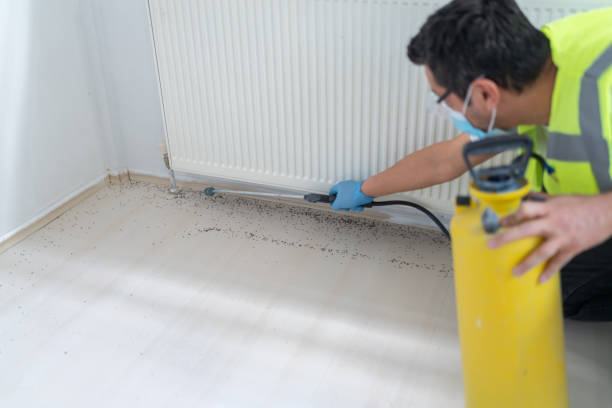 Best Termite Control Services  in Aberdeen, ID