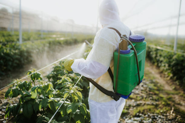 Best Pest Control Near Me  in Aberdeen, ID